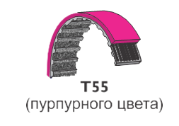 T55.png